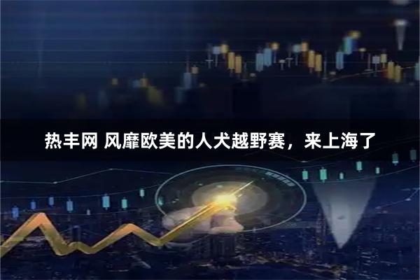 热丰网 风靡欧美的人犬越野赛，来上海了